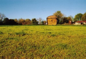 The orchard in October 2009, looking up hill towards the derelict farm buildings